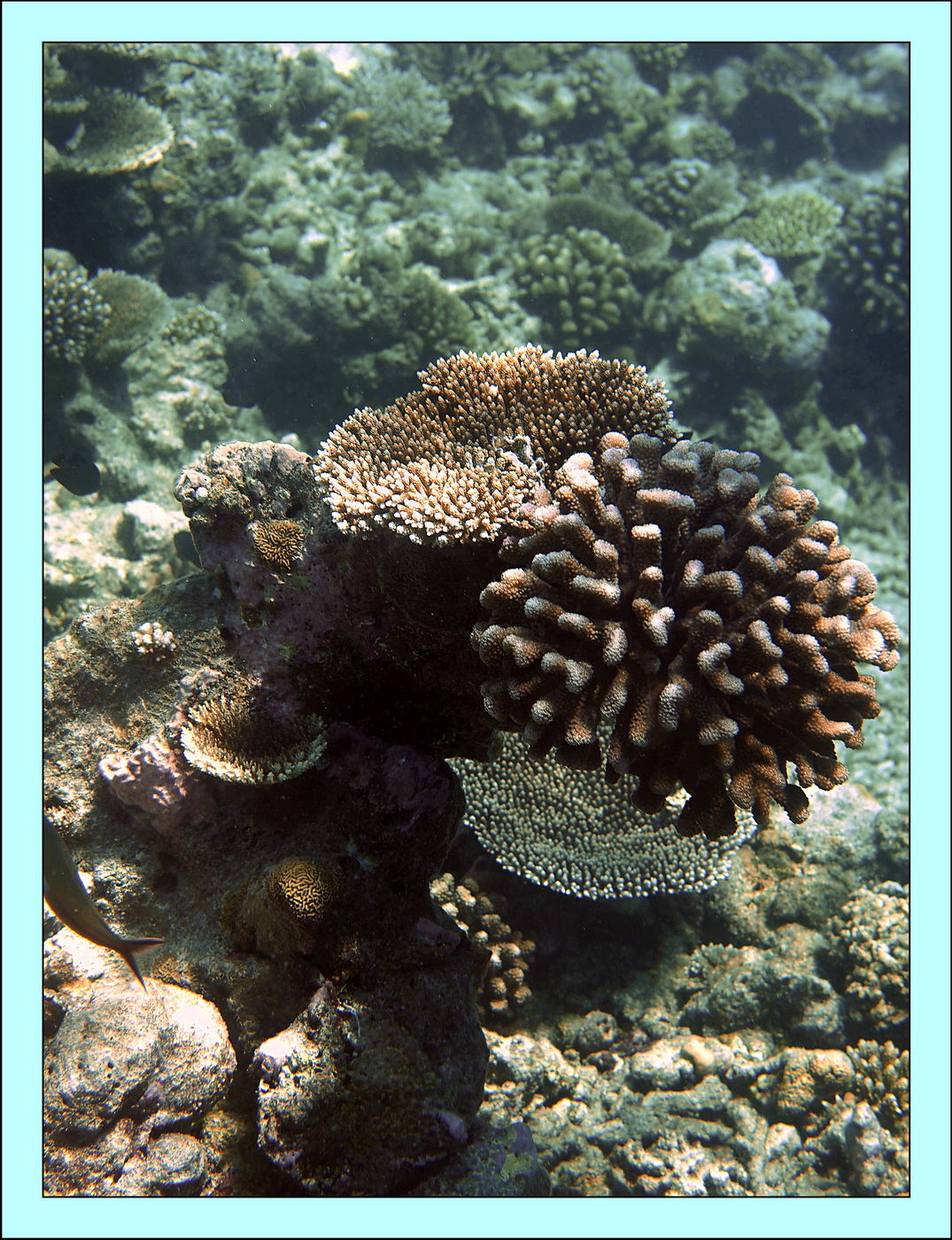 2023 - 07 - Sandies Bathala - 236